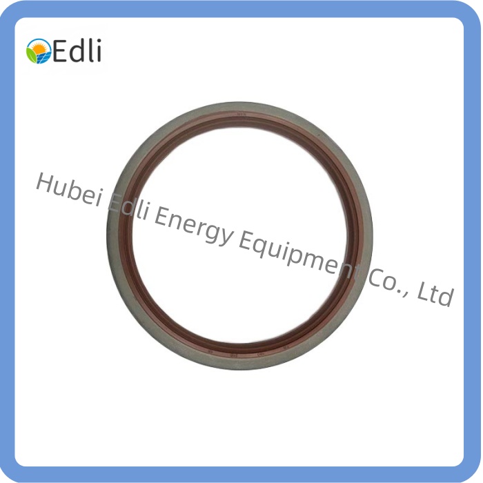 Rot Shaft Lip Seal 12029427 for MWM Engine