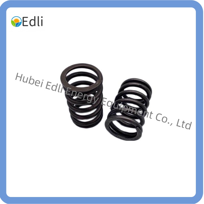 Valve Spring 12134406 for MWM Engine