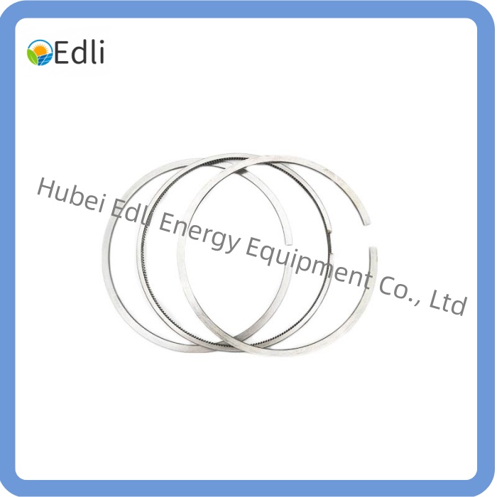 Set Of Piston Rings 12211794 for MWM Engine